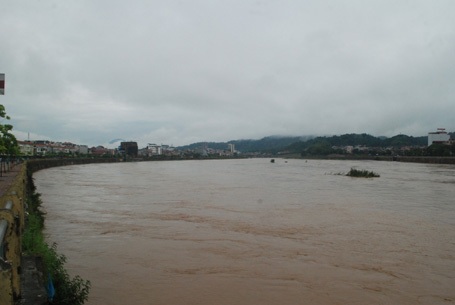 Đảo Soi Tiền hôm qua vẫn còn thấy mấp mé