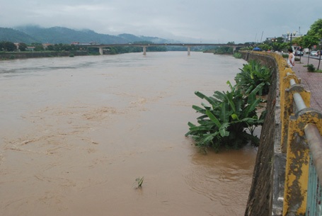 Lũ lên làm ngập nhiều diện tích hoa màu và cây ăn quả trồng ven sông Hồng