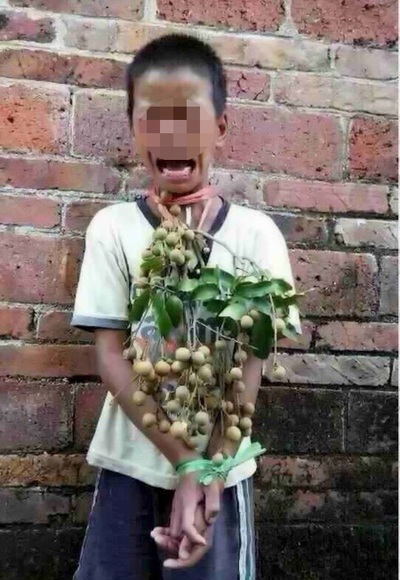 Bức ảnh cho thấy cậu bé đã vô cùng sợ hãi