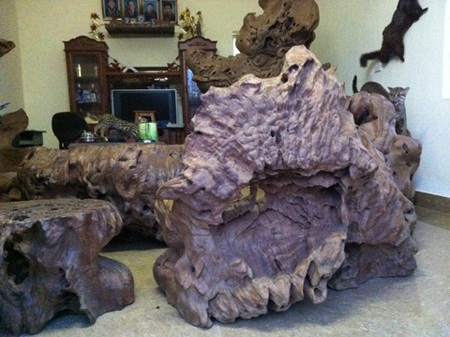 Mặt sau của chiếc ghế sần sùi như nu nghiến.