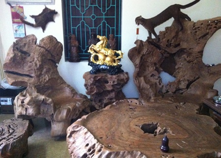 Mỗi một chiếc ghế mang một hình thù cổ quái, kỳ dị...