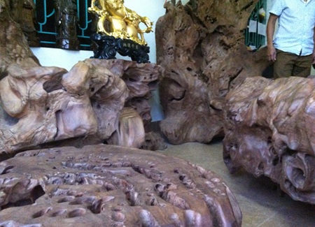 Đây là niềm tự hòa của anh Bình khi may mắn tìm và mang được về nhà sau cả ngàn cây số xa xôi.