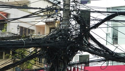 Sóc quậy phá lưới điện ở TPHCM - 1 Sóc quậy phá lưới điện ở TPHCM