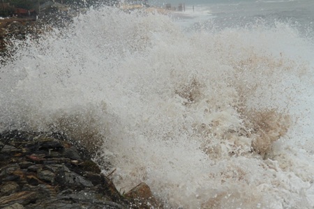 Triều cường gây nhiều thiệt hại