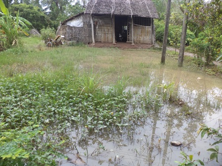 Ngụp lặn trong nước vì đê bao vỡ