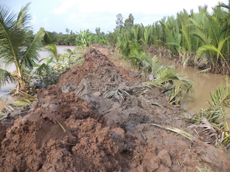 Ngụp lặn trong nước vì đê bao vỡ