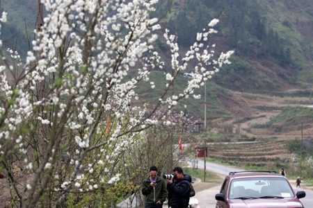 Nhiều khách du lịch tìm lên đây ghi lại những khhoảnh khắc đầy thi vị này.