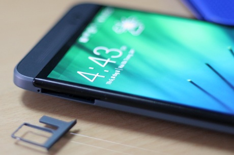 Khay sim bên cạnh trái