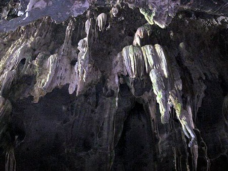 Hang Tối mở cửa đón du khách - 3 Hang Tối mở cửa đón du khách - 3