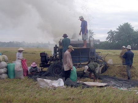 Ngồi trên kho thóc, nông dân vẫn nghèo - 1
