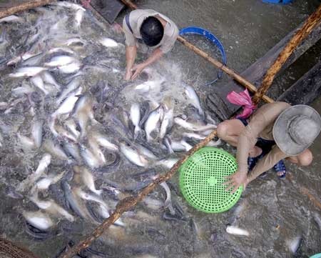 Loay hoay xác định “ngành công nghiệp mũi nhọn” - 1 Loay hoay xác định “ngành công nghiệp mũi nhọn” - 1