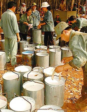 Đến lượt “vàng trắng” bị pha tạp chất bí ẩn  - 1