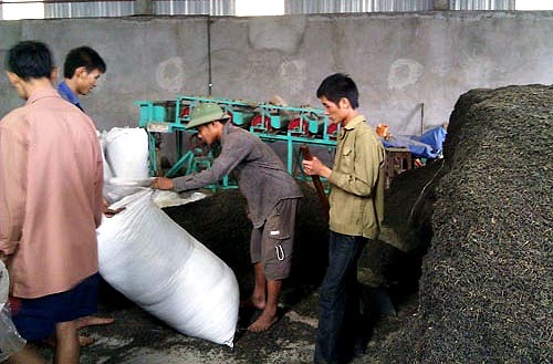 Hệ lụy từ “chè bẩn” trong cuộc chơi toàn cầu - 1