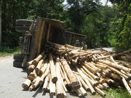 Xe tải chở gỗ lật chỏng chơ ở dốc Rùa - 1 Xe tải chở gỗ lật chỏng chơ ở dốc Rùa - 1