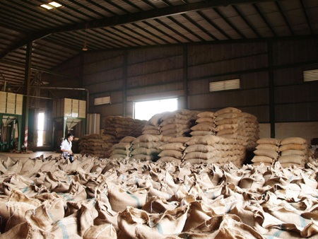 Vinacafe Buôn Ma Thuột thua kiện hơn 800 tỉ đồng - 1