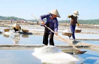 Công bố nhãn hiệu Muối Sa Huỳnh - 1 Công bố nhãn hiệu Muối Sa Huỳnh - 1