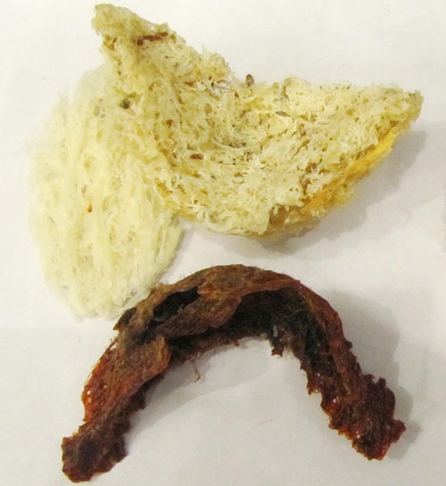 Yến sào dỏm ngày càng tinh vi - 1