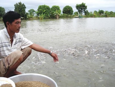 Vì sao có chuyện nợ tiền bán cá? - 1 Vì sao có chuyện nợ tiền bán cá?