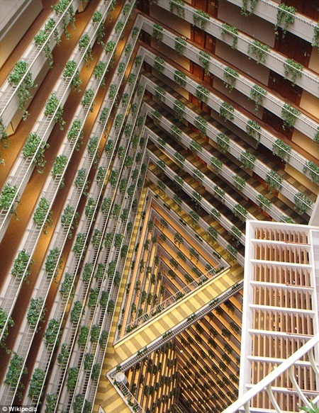 Mãn nhãn góc nhìn bên trong những tòa tháp cao nhất thế giới