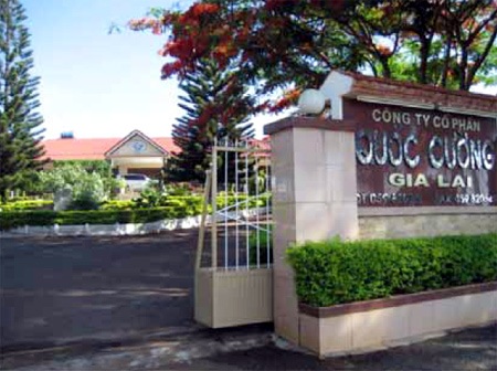 Quốc Cường Gia Lai trần tình việc cho người nhà vay tiền tỷ - 1 Quốc Cường Gia Lai trần tình việc cho người nhà vay tiền tỷ
