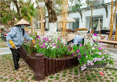 Người lao động địa phương trồng hoa tại khu đô thị Ecopark