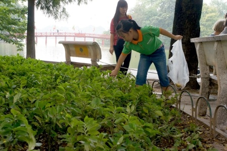 Cặm cụi nhặt rác bên Hồ Gươm - 7 Theo