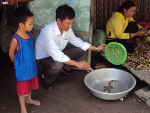 Liên tục bắt được cá sấu con trên sông - 1 Anh Nguyễn Quốc Dương với con cá sấu vừa bắt được.