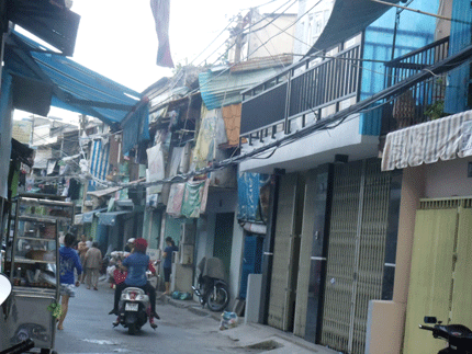 Chuột ngủ chung với người giữa Sài thành