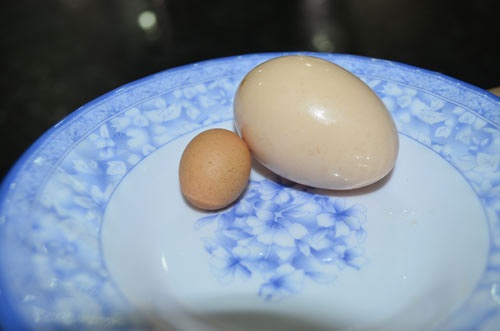 Gà ta đẻ trứng nhỏ hơn cả trứng chim cút - 3 Trứng gà siêu nhỏ có màu vàng sẫm hơn so với trứng bình thường
