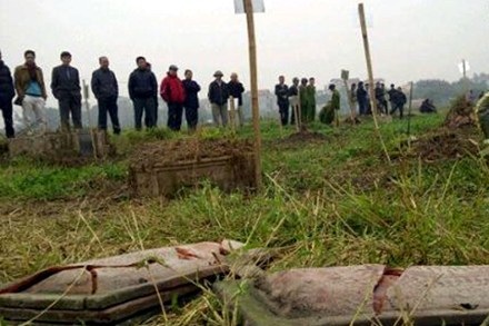 Một số ngôi mộ trong nghĩa trang làng Tứ Kỳ bị đào trộm