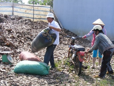 Bí ẩn cơn sốt gom mua lá điều - 1 Người dân gom lá điều khô bán cho cả điểm thu mua ở xã Gia Canh.
