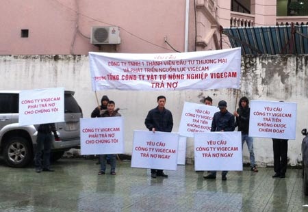 Hình ảnh không mấy đẹp trước trục sở Vigecam Trade