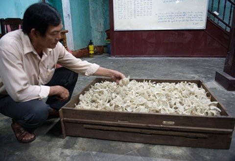 Hơn nửa tấn yến sào đang tồn kho (Ảnh: Minh Hải)