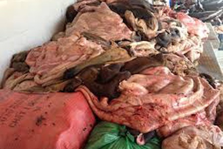 Sắp “được” ăn... nội tạng động vật ngoại! - 1 Sắp “được” ăn... nội tạng động vật ngoại!