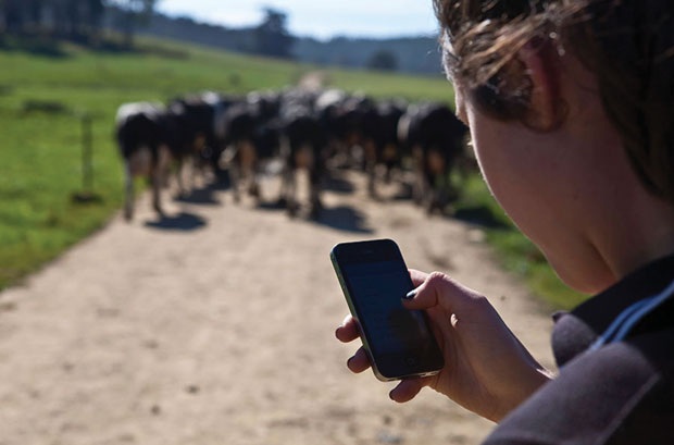 Mua gì năm nay? - 1 Có nơi nào mà những chiếc điện thoại thông minh chưa có mặt?