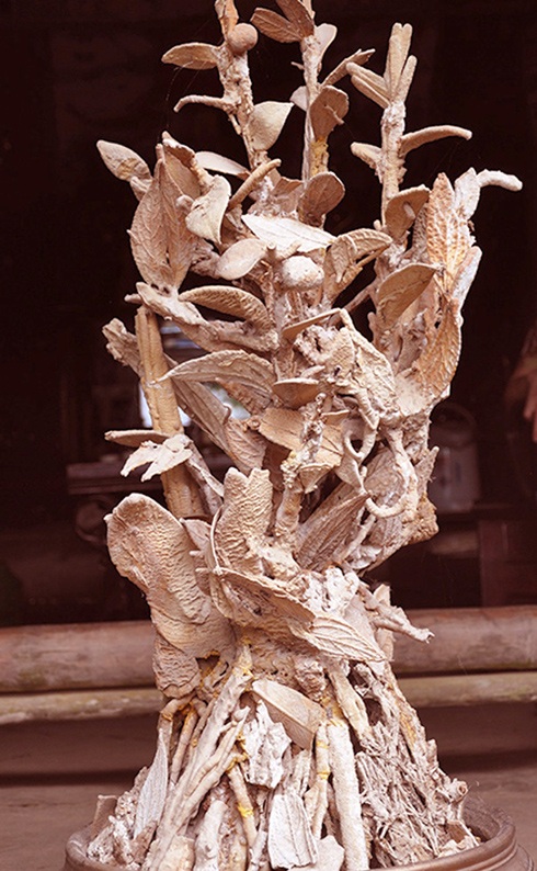 Lý giải cây hóa thạch "triệu đô" ở Thanh Hóa - 1 Cây hóa thạch triệu đô.