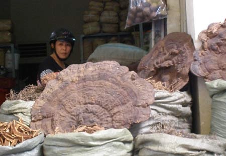 Phố thuốc Đông y Hải Thượng Lãn Ông - nơi tập trung đông dân săn hàng “cung vua tiến chúa”.