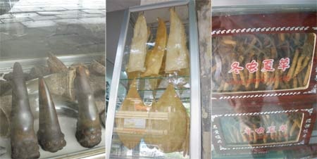 Phố thuốc Đông y Hải Thượng Lãn Ông - nơi tập trung đông dân săn hàng “cung vua tiến chúa”.