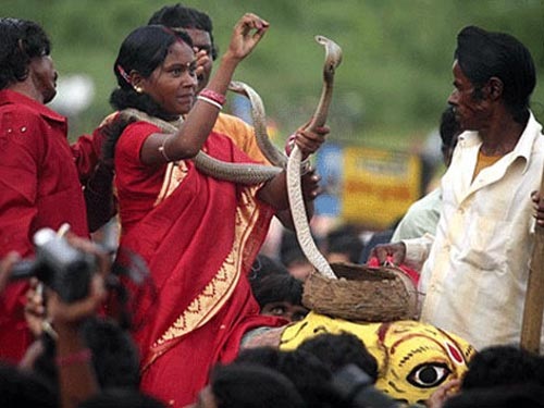 3. Rắn và nghi lễ trưởng thành