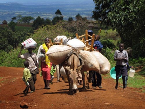 5. Tục thờ thần rắn ở Trung Quốc