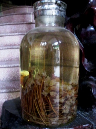 Năm Tỵ luận đàm về... rượu rắn "ông uống bà khen" - 1 Năm Tỵ luận đàm về... rượu rắn ông uống bà khen