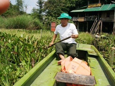 Kiểm lâm Chiến lái mũi thuyền vượt qua biển bèo, thức ăn khoái khẩu của cá sấu. Ảnh: QD.