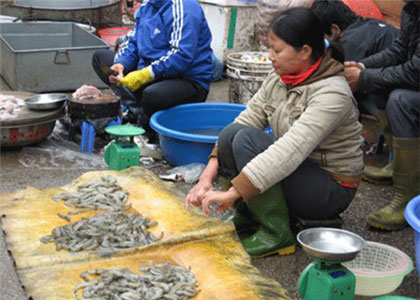 Mùng một Tết: Tôm, cá hét giá trên trời