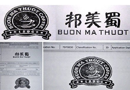 Logo nhãn hiệu cà phê Buôn Ma Thuột bị đăng ký bảo hộ độc quyền tại Trung Quốc