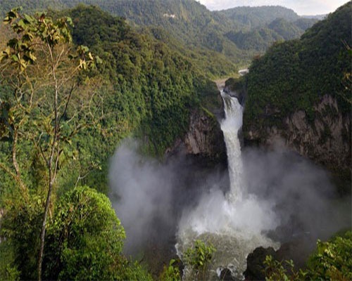 Một góc rừng nguyên sinh của Ecuador
