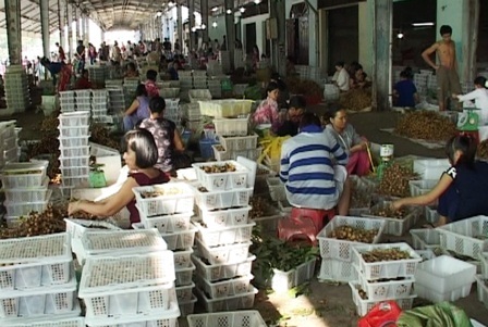 Nhiều doanh nghiệp mất tiền tỷ vì nhãn tồn đọng