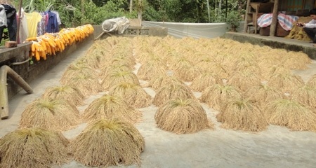 Đặc sản huyền thoại xứ Mường ra thị trường