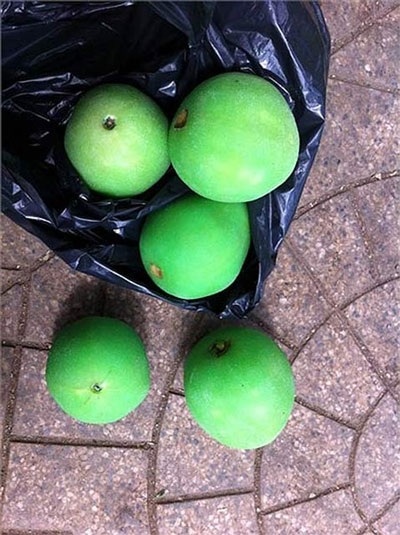 Khiếp đảm chiêu độn, nhuộm thực phẩm bẩn