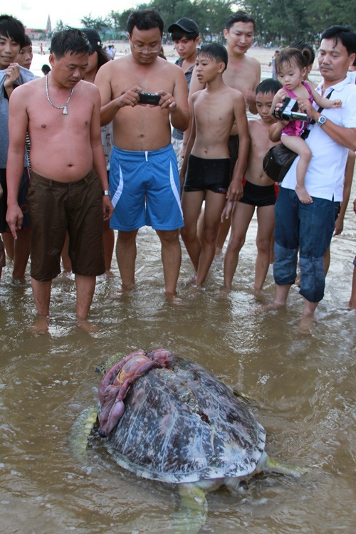 Một số người hiếu kỳ sờ vào xác cụ