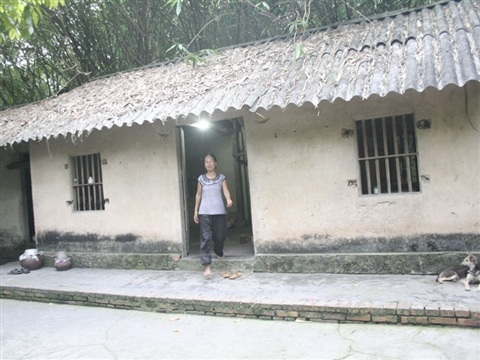 Kỳ lạ vườn cò vạn con bên sông Cầu - 2 Ngôi nhà tồi tàn của vợ chồng ông Bé trong vườn cò.